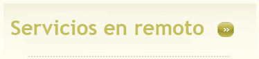 Servicio de recuperación de datos en remoto (online)